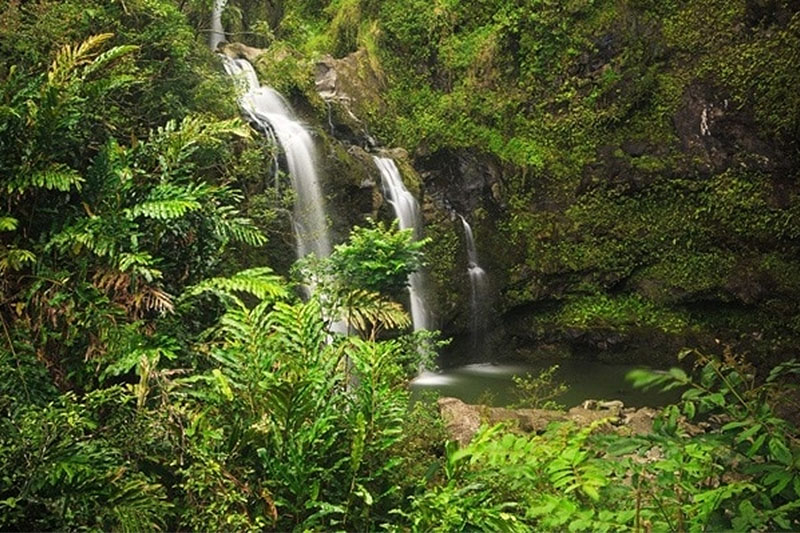 Maui Road To Hana Day Tour